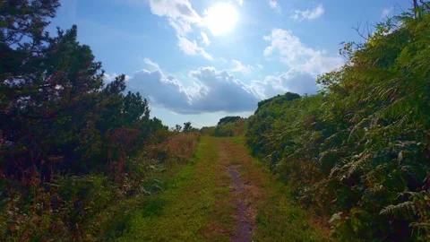 Slow motion dirt hiking path on hill surrounded by green vegetation Stock Footage 340441052