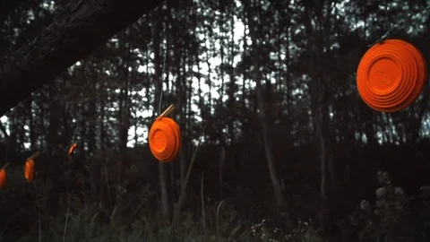 Slow motion disc plate gets shattered by gun bullet at nature shooting range Stock Footage 119150943