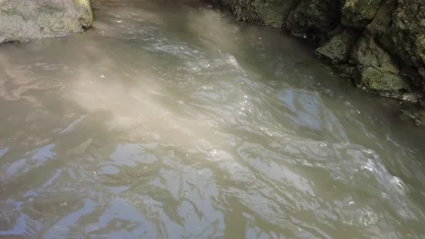 Slow motion ditch water flow Video stock 226092224