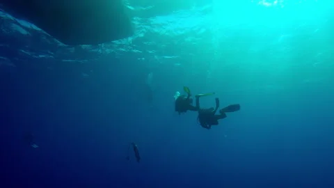 Slow motion of divers returning underwater to a safari boat in backlit Stock Footage 318039746