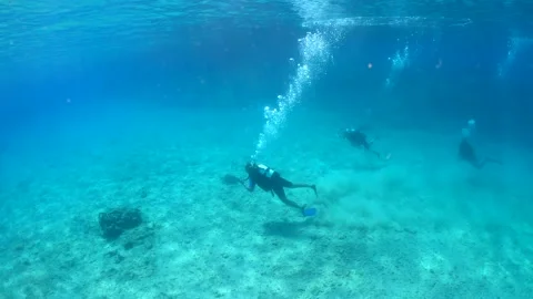 Slow motion of divers on sea bottom. Underwater video Stock Footage 211179741