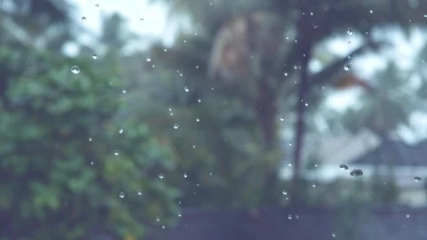 SLOW MOTION, DOF: Tiny sparkling raindrops fall past the tropical forest and sea Stock Footage 90887280