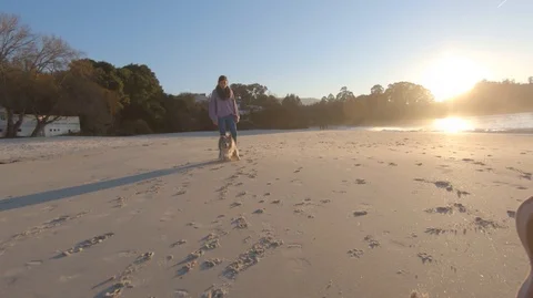 Slow motion Dog Chasing Camera Video stock 117374992