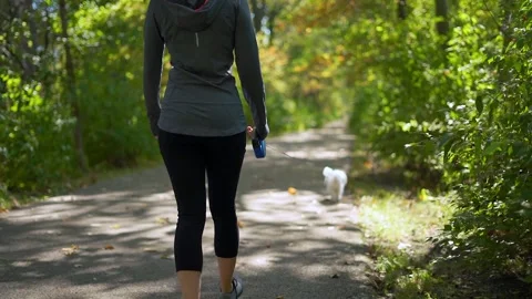 Slow motion of dog on trail during fall Vídeos de archivo 141870302