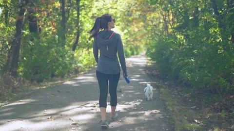 Slow motion of dog on trail during fall Vídeos de archivo 141870437