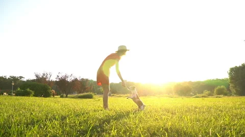 Slow motion dog tricks summer woman agility Vídeo Stock 64604541