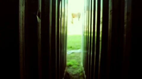 Slow motion dolly effect going toward a garden Stock Footage 76661313