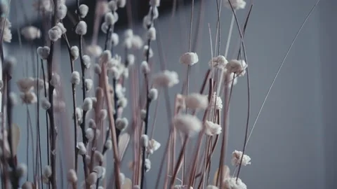 Slow motion dolly shot close up of dry flowers in a vase Video stock 165767071