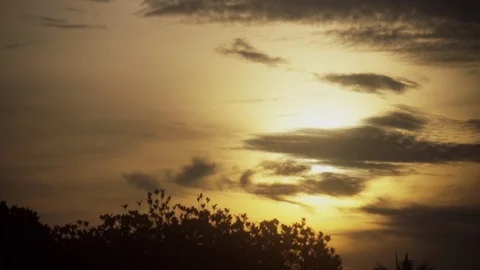 Slow motion dolly shot of sun behind the tree Stock Footage 96229043