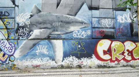 Slow motion dolly shot of various paintings on walls along a street in Rio de Stock Footage 37219878