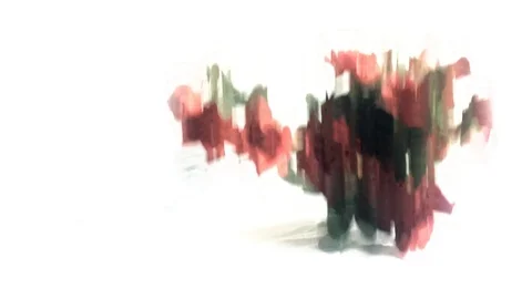 Slow motion down roses Stock Footage 70755373