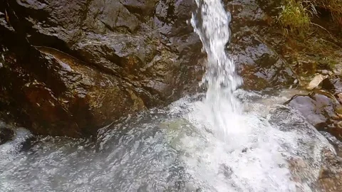 Slow motion drinking water in waterfall Stock Footage 82688870
