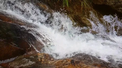 Slow motion drinking water in waterfall Stock Footage 82689170