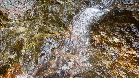 Slow motion drinking water in waterfall Stock Footage 82689397