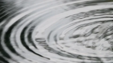 Slow motion of dripping on calm waving water surface with ring pattern close up. Stock Footage 99146484