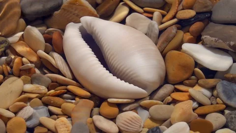 Slow motion of dripping shallow pure water with pebbles bottom close up. Stock Footage 98097909