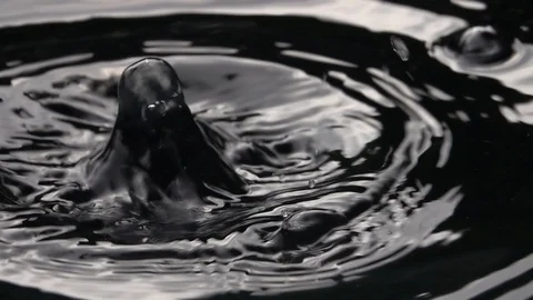 Slow motion of dripping on water surface close up. Stock Footage 99146592