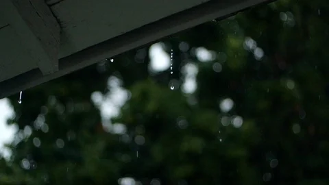 Slow Motion Drips During Rain Stock-Footage 118468359