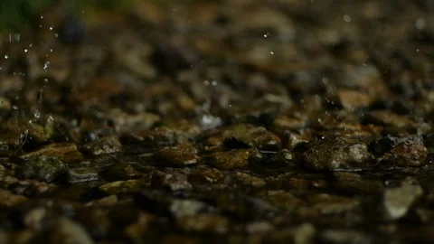 Slow Motion Drips In Pebbles Stock-Footage 118468504