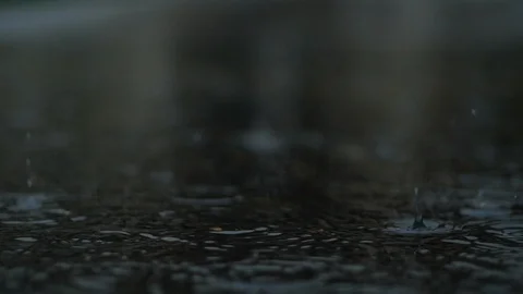 Slow Motion Drips In Puddle Stock-Footage 118468435