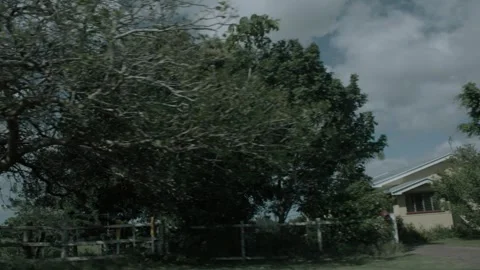 Slow Motion Drive Past Rural Trees and Fence in Sunshine Coast Hinterland, Austr Stock Footage 341298247