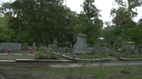 Slow motion drive through Bonaventure cemetery Stock Footage 54917842
