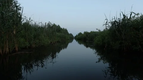 Slow Motion Driving Through Narrow Canal Surrounded By Lush Foliage Bird Dark 스톡 동영상 125170376