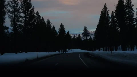 Slow-motion driving through snowy pine forest highway at twilight Stock Footage 328254817