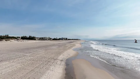 Slow-Motion Drone Beach Tracking Shot with Seagull Stock Footage 272225185