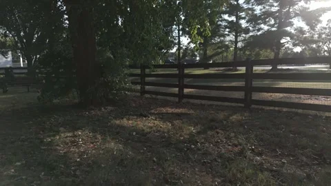 Slow motion drone flight over park treetops toward red agility tunnel Stock Footage 346669028