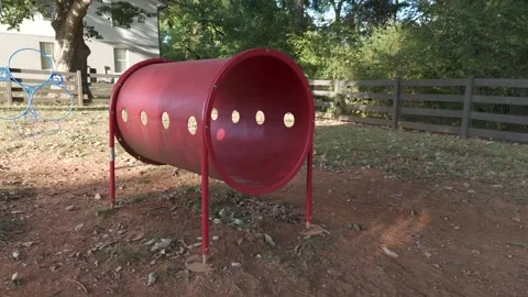 Slow motion drone flight through red dog agility tunnel Stock Footage 346732732