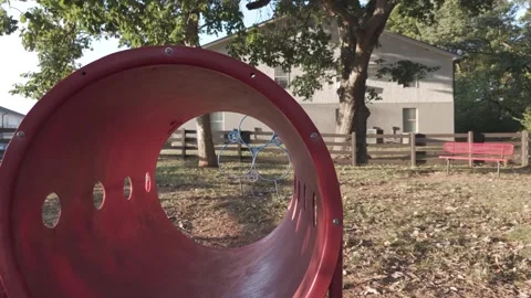 Slow motion drone fly past red dog agility tunnel in park Stock Footage 346731954