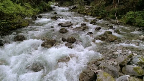 Slow Motion Drone Flying Upstream of Forest River in Pacific Northwest Stock Footage