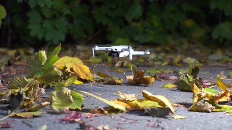 Slow motion drone takes off on dead leaves of the fall season HD Stock Footage 169128863