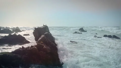 Slow motion drone wrap-around of seas break outside of Pebble Beach, California Stock Footage 230548006