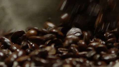 Slow-motion drop dark coffee beans Video stock 142070816