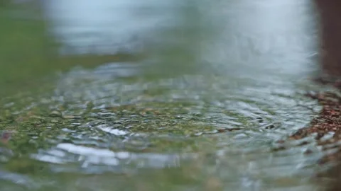 Slow Motion Drop of Rain Hitting Puddle Creating Crown Splash Pattern Stock Footage 315077575