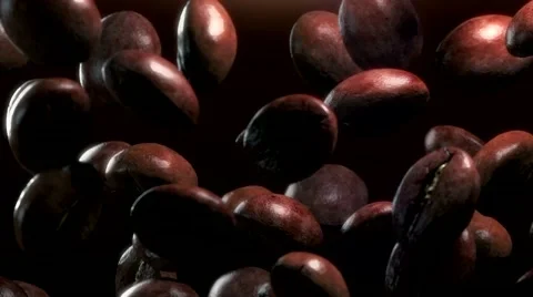 Slow motion drop roasted coffee beans - repeatly move Video stock 51165254
