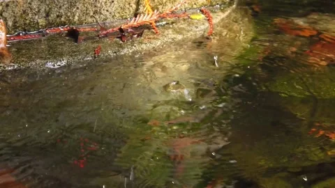 Slow motion from a drop of water falling in a fountain Stock Footage 140873996