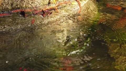 Slow motion from a drop of water falling in a fountain Video stock 140874758