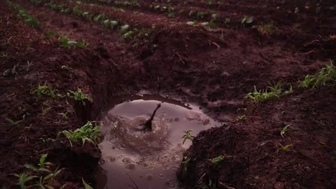 Slow Motion - dropping pebble into water FHD 120fps  - output 30 fps Video stock 146938548