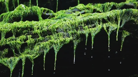 Slow motion of Drops falling from a rock Stockbeeldmateriaal 127219949