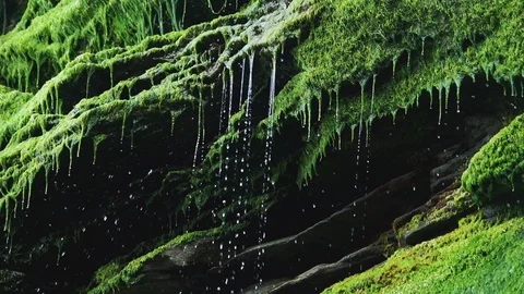 Slow motion of Drops falling from a rock 库存影片 127219967