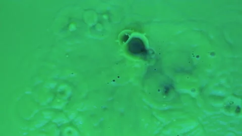 Slow motion. Drops of fluorescent green paint fall down. Splash, spatter and 库存影片 169833417