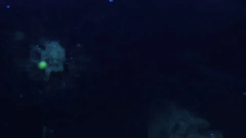 Slow motion. Drops of green fluorescent paint fall into black water. 库存影片 136463379