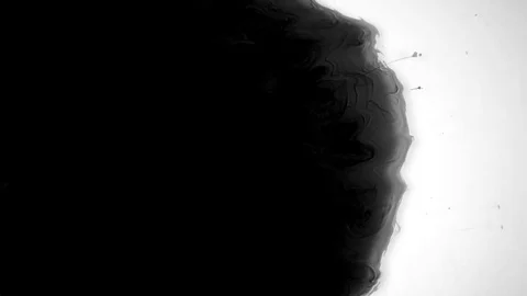 Slow Motion Drops of Ink Stock Footage 74654001