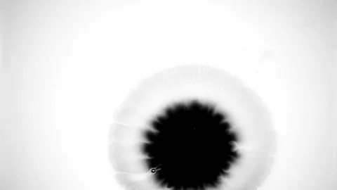 Slow Motion Drops of Ink Stock Footage 74654259