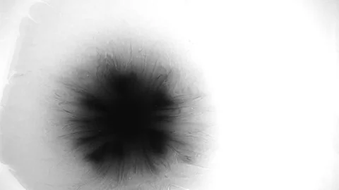 Slow Motion Drops of Ink Stock Footage 74654459