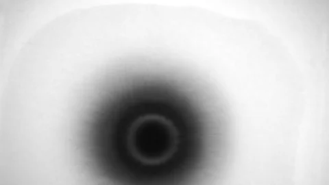 Slow Motion Drops of Ink Stock Footage 74654606
