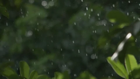 Rain Drops Slow Motion Stock Video Footage | Royalty Free Rain Drops ...